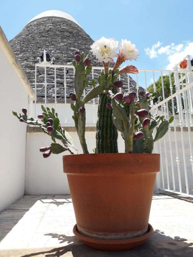 B&B Masseria Nuove Caselle Villa Castelli Dış mekan fotoğraf