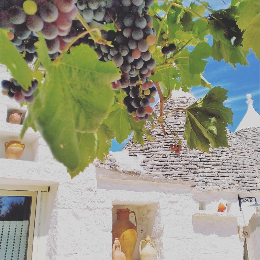 B&B Masseria Nuove Caselle Villa Castelli Dış mekan fotoğraf