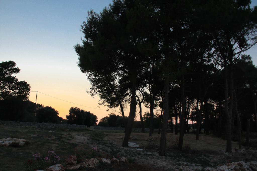 B&B Masseria Nuove Caselle Villa Castelli Dış mekan fotoğraf